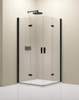 Paroi de douche d'angle avec porte pliante NT213