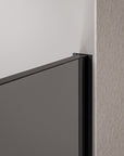Paroi de douche à l'italienne Nano Verre gris EX102-2