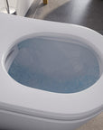 WC japonais lavant PREMIUM 1102 Blanc