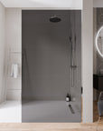 Paroi de douche à l'italienne EX102-2 - Verre nano gris 10 mm
